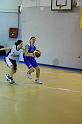 Basket 252049